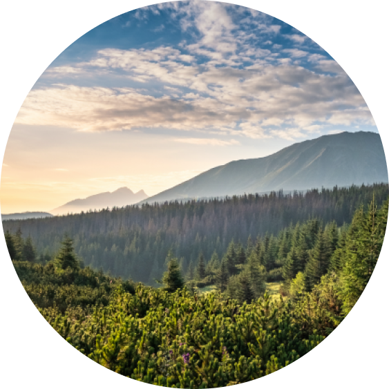 Chapman Funeral Homes